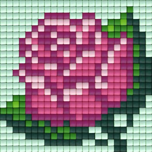 rose-blumen-sujet-pixel-hobby-maerkli.jpg
